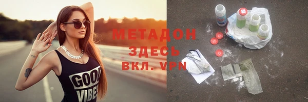 прущие грибы Осташков